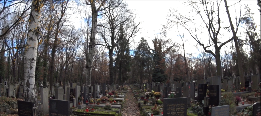 Ольшанское кладбище в Праге